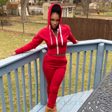 Solid Hooded Zipper Long Sleeve 2 Piece Jogger Set